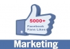 I will provide 5000+ FACEBOOK followers/post likes
