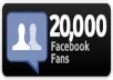 I will supply you real 20,000 USA + facebook website [no fanpage] likes in 48 hours only today order now