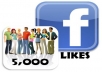 add 5000+ facebook likes to your fanpage