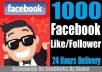Take 1000+ [PERMANENT] Facebook Like / Fan In Your Page Within Few Minutes