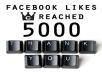 give you 5000+ Real Facebook Likes / Fans Guaranteed to your Fanpage