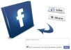 provide 40 like and 40 share on facebook
