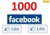 provide you 1000+ High Quality Facebook Likes on your website