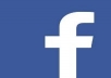 I will add 250+ Facebook fans to you're page