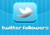 Get You Now 5000+ Stable twitter followers to your twitter account 