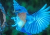 add 10,000+ TopQuality Permanent Twitter Followers to Your Twitter Account within 24hrs^_^!♫&plusmn;&sup2;■