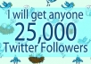 add 25.000 twitter followers to your twitter account