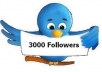 give you 3,000+++ followers for your  twitter username 