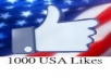 I will give you 1000 USA Facebook fanpage likes, quick and safe delivery excellent service