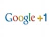 provide manually 100 + 50 Google +1 to your site/page/blog only