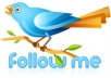 give you 1313++ Twitter Followers, 100% Real