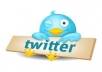 send you REAL active 250+ twitter followers without your password for