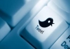 provide 100K real human Twitter Followers for