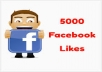 get you 4500+ Facebook Likes , Best Quality and Authentic With in 48 Hours