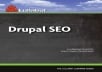 I will Give You Lullabot &ndash; Drupal SEO