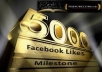 will add 5000++ Facebook likes in your Facebook FanPage
