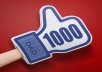 i will give you [100% Real]    1000 facebook likes with in 24 hour