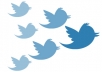 i will give you 2000 twitter followers