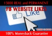 give 15000 Facebook Website LIKES [No Fan Page] Within Just 24 Hours