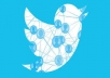 add 10,000 High Quality  twitter followers[Stay]  in 24 hours