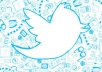 give 10,000 High Quality, No Egg, UNfollowers to your Twitter Account