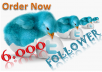give you 6000+ twitter followers within 24 hours