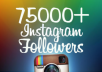 add 75,555 Instagram Followers under 48 hours, quick and safe delivery time. I will provide you 1 Million followers for 1 account