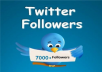 give you 7000+ twitter followers within 24 hours