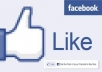 Provide 300 real facebook like