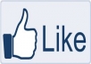  give 1000+ Best Quality Facebook Likes,Facebook Fans To Fanpage In Few Hours for
