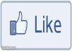 give 300 us Facebook likes to your facebook fanpage in less than 72 hours