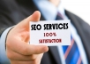 make full high quality 1 month SEO work