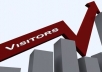 provide 20000 Unique Visitors To Your Site