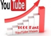 deliver 1,000 YouTube Views within 1 day 