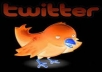 add More Than 20000+ Followers to Your any kind of twitter account all real followers no bots all followers with pics all just