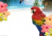 provide 6000 real twitter follower no password required within 15 hour