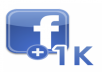 Get You 101 Facebook Likes