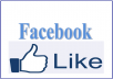 Give You 2500 ++ Facebook Likes Fans Page