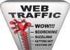 provide website traffic service and send 11 000 visitors to your site