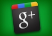 Give You 100 GOOGLE +1 Plus One to Your Webpage or Blog in 2 Day