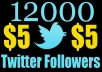 Increase 12,000 Real Looking Twitter Followers to Your Account Just Within 12hr Without Password