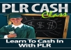 upload your PLR or mrr so you can sell on jvzoo or flippa