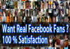 Get You 300 Verified Facebook Likes