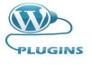 Give You Popular Wordpress Plugin Profiles Videos and PDF 
