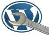 setup and fully customize your 1 wordpress blog as your instruction