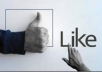 give Express 1600+ Facebook likes with in 24 hours and Tweet your page to 1500+ twitter followers