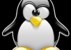 give guide you how to kill penguin and panda