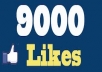 give you 9000+ FACEBOOK likes fans