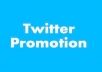 retweet your tweet to 250,000 followers and add 2,500 real followers to your account