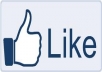 give 50 facebook likes daily for your  Facebook page for 30days